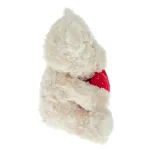 Picture of Small Bear With Heart Soft Toy