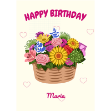 Picture of Happy Birthday